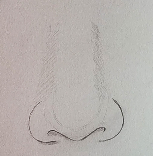 nose sketch side view