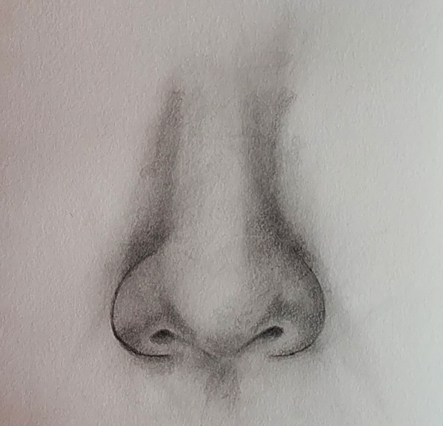 Nose shading