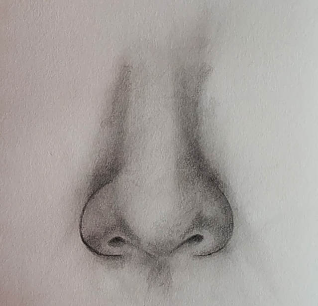 How to draw nose (front view)? LOV4ARTS Easy drawing techniques