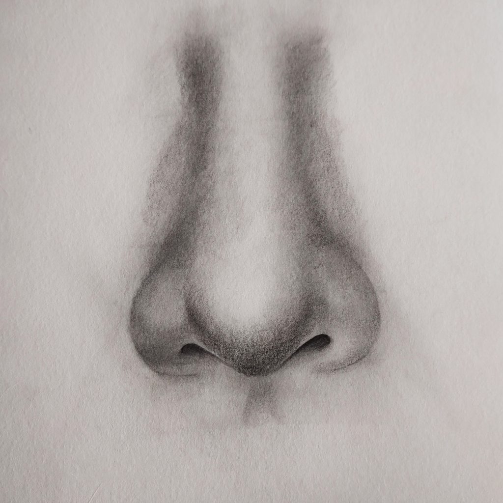 Nose shading