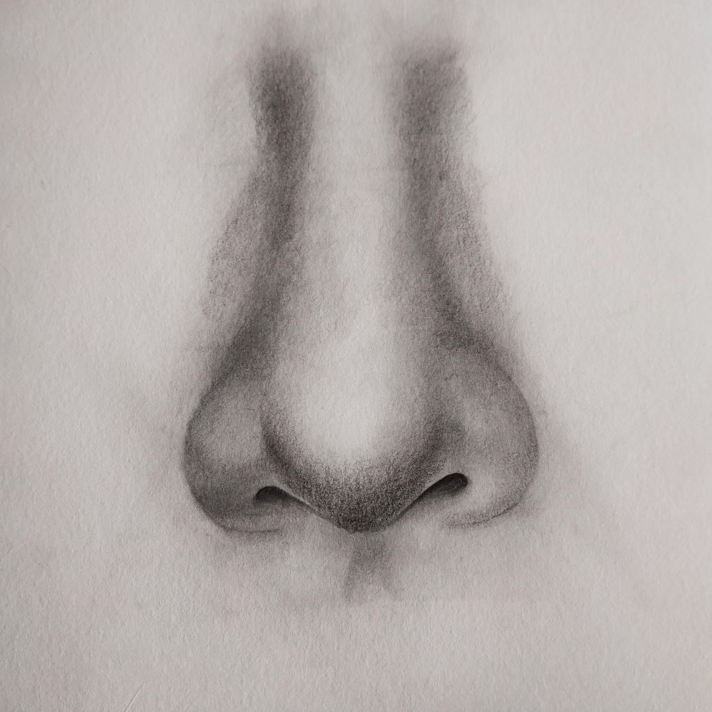 Nose Pencil Drawing at GetDrawings | Free download - Rfaldinews