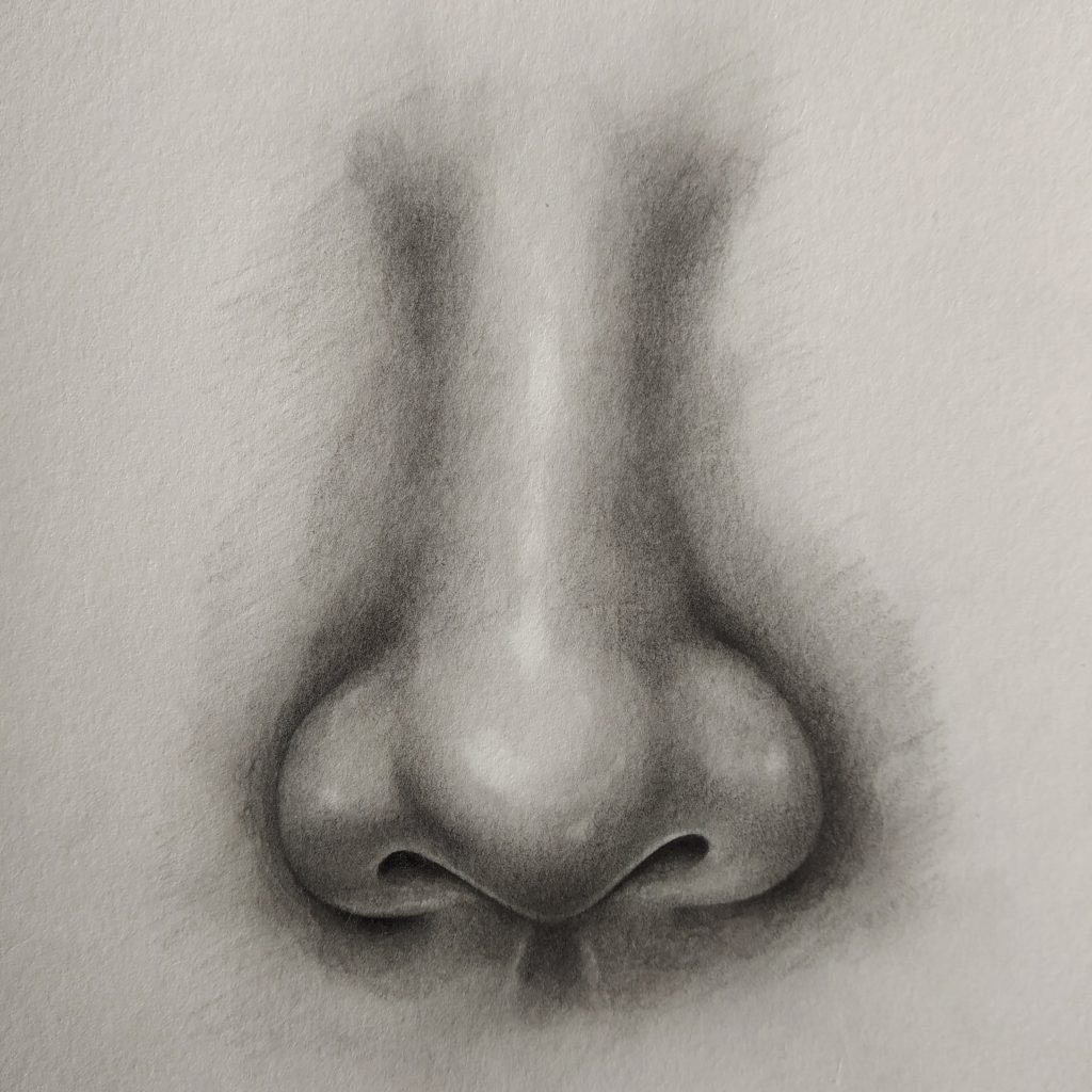 How To Draw A Nose Easy Proko How To Draw A Nose Step By Step