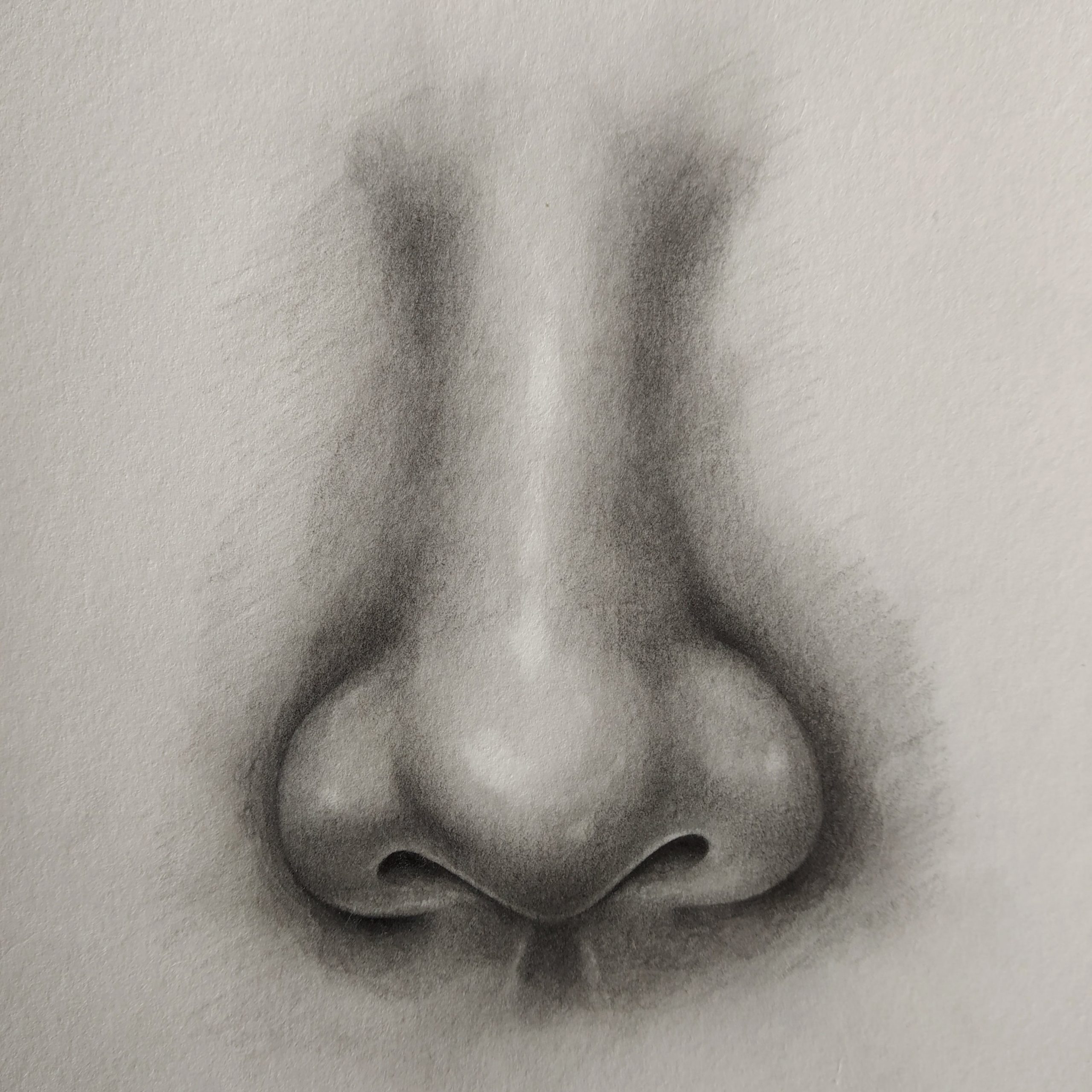 charcoal nose sketch