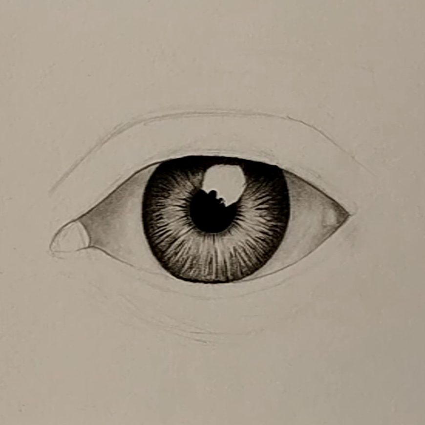 How to draw eyes (Front view) ? - LOV4ARTS | learn art