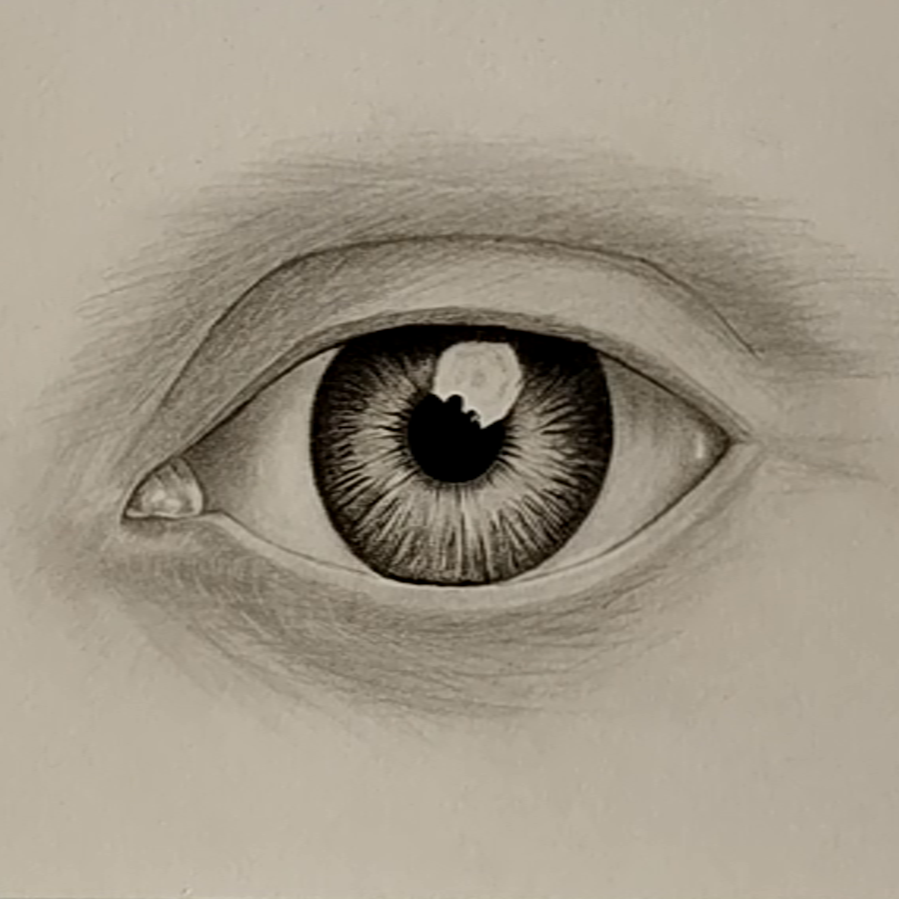 How to draw eyes (Front view) ? LOV4ARTS learn art