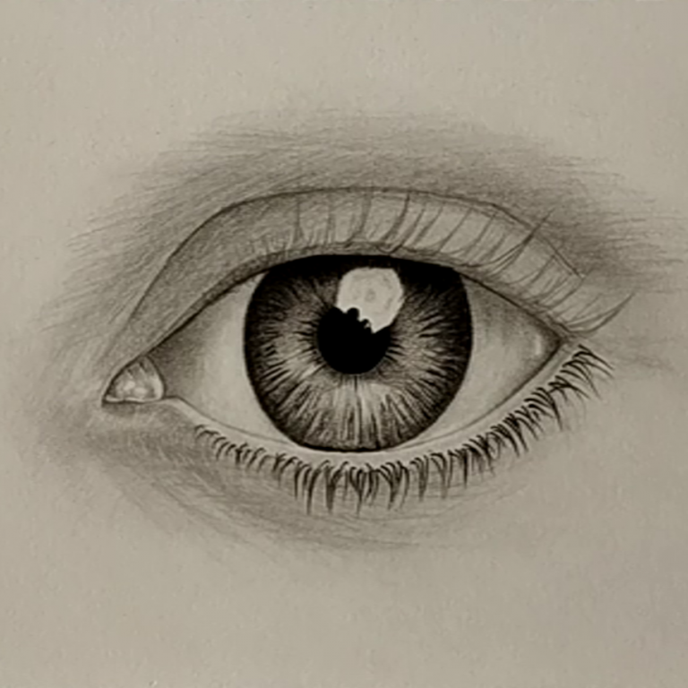 How to draw eyes (Front view) ? LOV4ARTS learn art