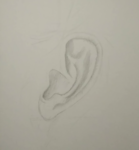 How to draw ear (Profile view)? | Drawing Ear in simple steps | LOV4ARTS