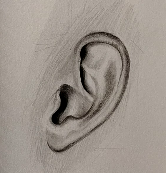 How to draw ear (Profile view)? - Drawing Ear in simple steps | LOV4ARTS