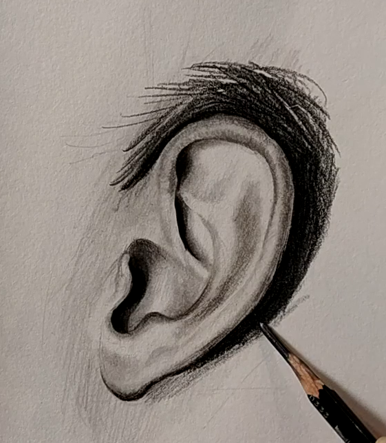 How to draw ear (Profile view)? - Drawing Ear in simple steps | LOV4ARTS