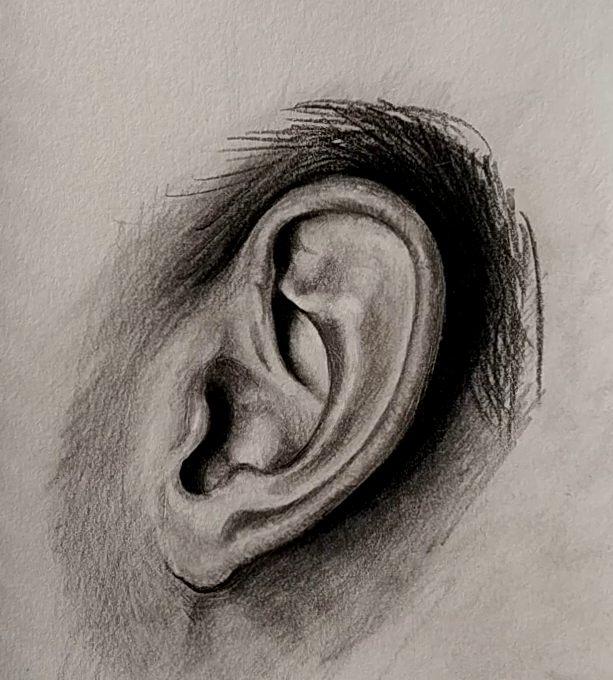 How to draw ear (Profile view)? Drawing Ear in simple steps LOV4ARTS